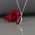 AAW5K_211103_3.jpg