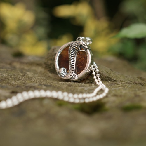 db79ba4c42d3580de2976241a98f204f