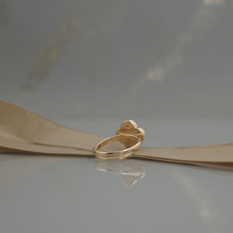 5524f52a2fd2626b84ca0de8b7ed0021