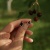 7d1ea877c6242da13e8fa2e147be08c3