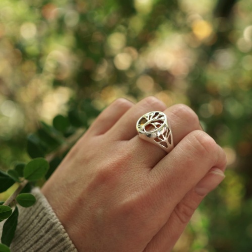 Sygnet Drzewo Życia z bursztynem