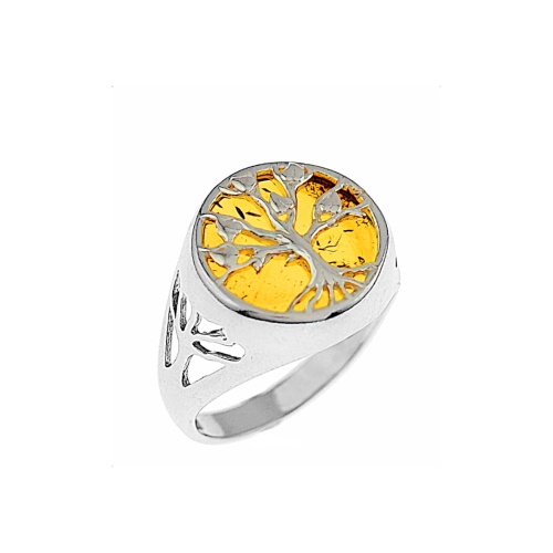 COP1_sygnet z bursztynem.jpg