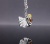 COW10_200922.JPG